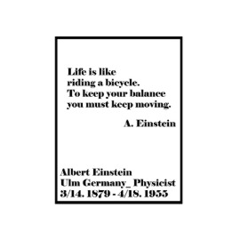 에포크 - Einstein Poster